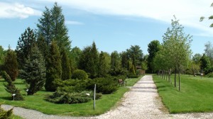 20120509_019_arboretum zdjecia na strone galeria  
