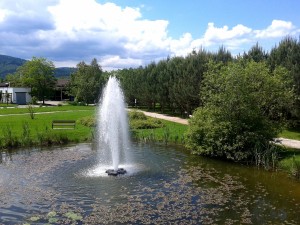 20130612_131445  