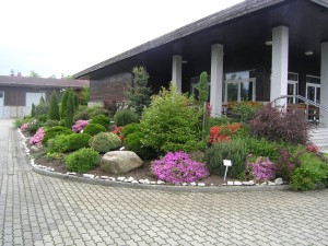 P6060034  